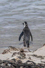 Fototapeta premium creative