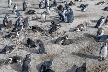 Obraz premium creative