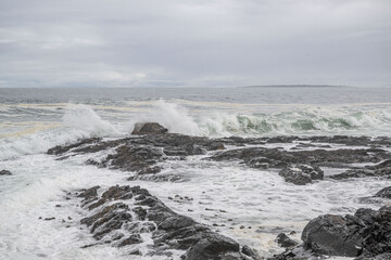 Fototapeta premium creative