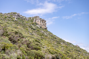 Naklejka premium creative