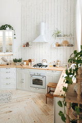 Modern white Scandinavian style kitchen with wooden worktop filled with kitchen accessories. Stylish kitchen interior with cooker hood, built-in oven, gas hob, potted plants and large windows. Nobody