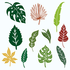 Fototapeta na wymiar Tropical Leaves Collection, Jungle Leaves, Botanical Element vector illustration