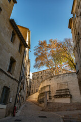 old street in montpelier french city in autum with tree