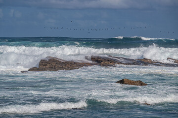 Obraz premium cape of good hope