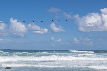 cape of good hope