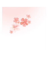 Flying Pink flowers isolated on light White - peach pink gradient background. Cherry blossom. Vector