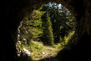 Out of a Cave into an Alpine Forest Concept - Slovenia