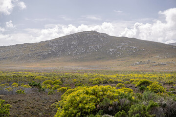 Fototapeta premium creative