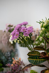 bouquet of lilac flowers