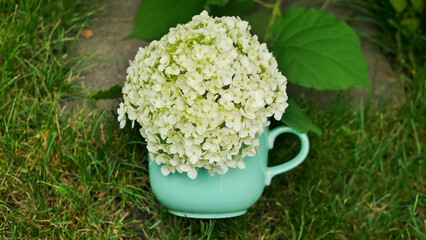 white hydrangea flowers in a vase shape of cup on a green grass background