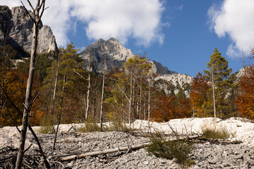 Panorama of Scree on a Slope in Vrata Valley, Triglav National Park Slovenia