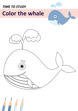Coloring. Child Game. Whale. 
Color the little whale.