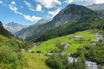 Fototapeta na wymiar Urlaubsgebiet in Tirol Österreich
