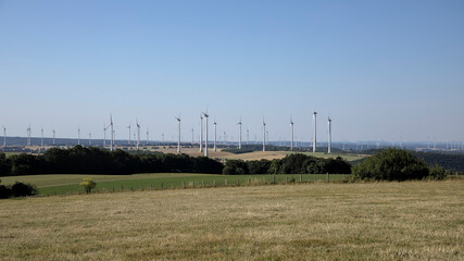 Many wind turbines in rural environment at the horizon with fields, bushes and forests