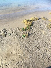 tide's out