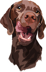 Chocolate Labrador puppy. Dog. Portrait. Vector illustration