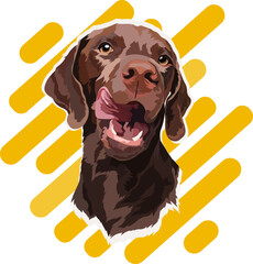 Chocolate Labrador puppy on a colored background. Portrait. Vector illustration