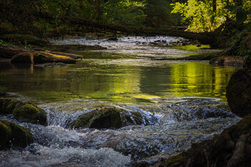 la Versoix, rivière sauvage, Genève, Suisse