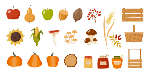 Autumn collection of elements for your design with different harvest elements. Vector flat style illustration