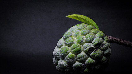 Annona squamosa or also called sugar apple or 