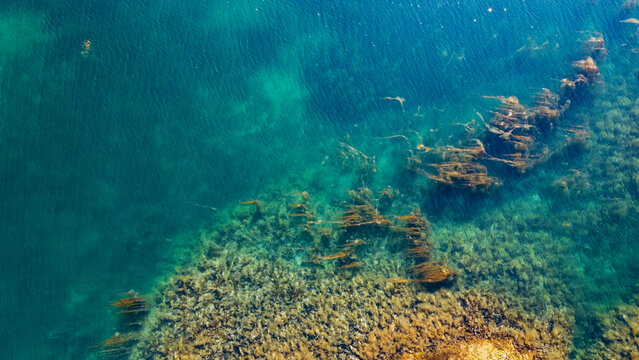 Aerial View Of Sea Waves And Fantastic Rocky Shore. Reefs And Algae Near The Shores Of The Norwegian Sea. Norway