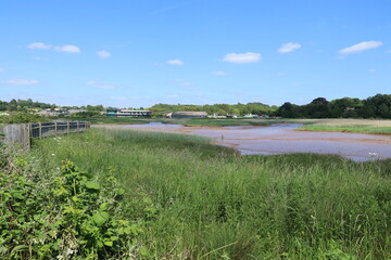 Panoramic shot of the bird sanctuary on the River Exe near Topsham in Devon, England