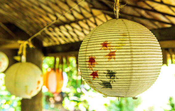 Japanese Style Lanterns