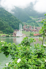 foggy day in Uzungöl - Uzungöl district, Çaykara - Trabzon, Turkey - The lake is situated south of the city of Trabzon in the Black Sea region of Turkey and a tourist magnet destination. 