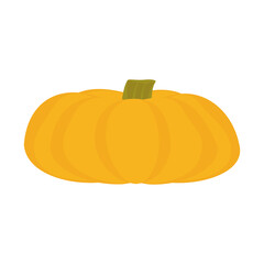 Pumpkin Design element Gourd illustration for Halloween and Thanksgiving Day Farm product Vector illustration Isolated on white background