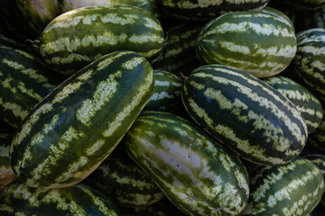 Close-up of  green watermelons at a Farmer's Market