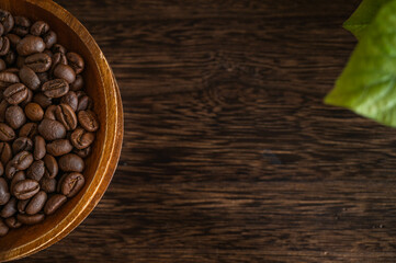 コーヒー豆　タンザニアゲイシャ