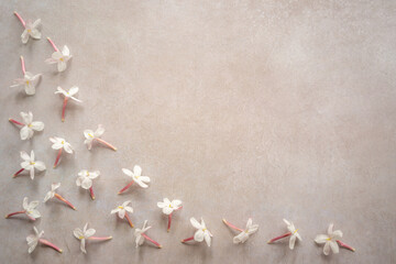 Flat Lay of Jasmine Flowers on Table with Copy Space