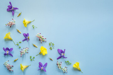 Fototapeta na wymiar Flat Lay of Winter Wildflowers on a Blue Background with Copy Space