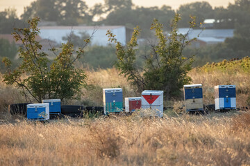 A beehive man-made structure to house a honey bee nest in Greek fields