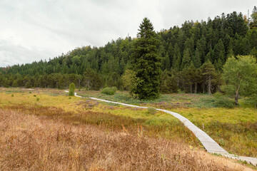 Tourbière de Prénovel