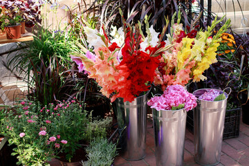 different colorful flowers in vases at the florist's flower market