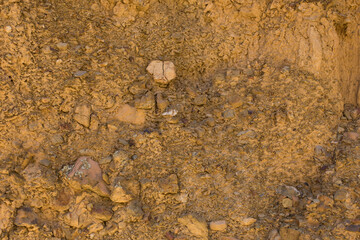 fondo - textura de una pared de barro en sudamérica. Concepto de texturas y fondos.