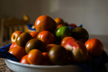 container with tomatoes