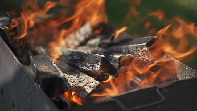 Burning tree in the brazier in the country