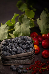 Plum, blueberry and currant