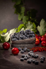 Plum, blueberry and currant