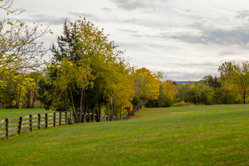 Fence line with trees in autumn or fall.