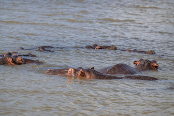 Fototapeta premium creative