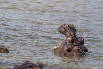 Fototapeta premium creative