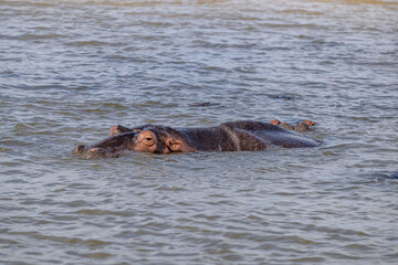 Fototapeta premium creative