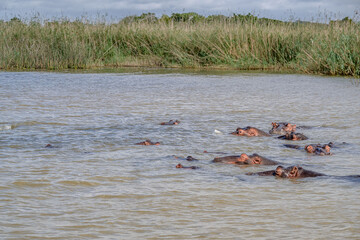 Fototapeta premium creative