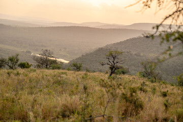 Obraz premium creative