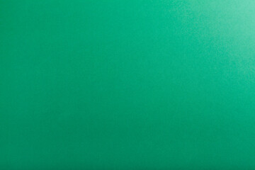 green card background 008F65