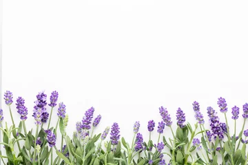 Foto auf Acrylglas Flowers composition, frame made of lavender flowers on pastel background. © gitusik