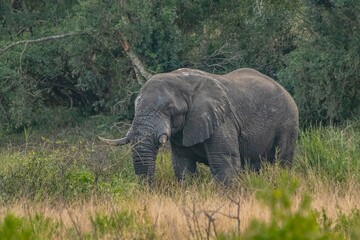 Obraz premium creative